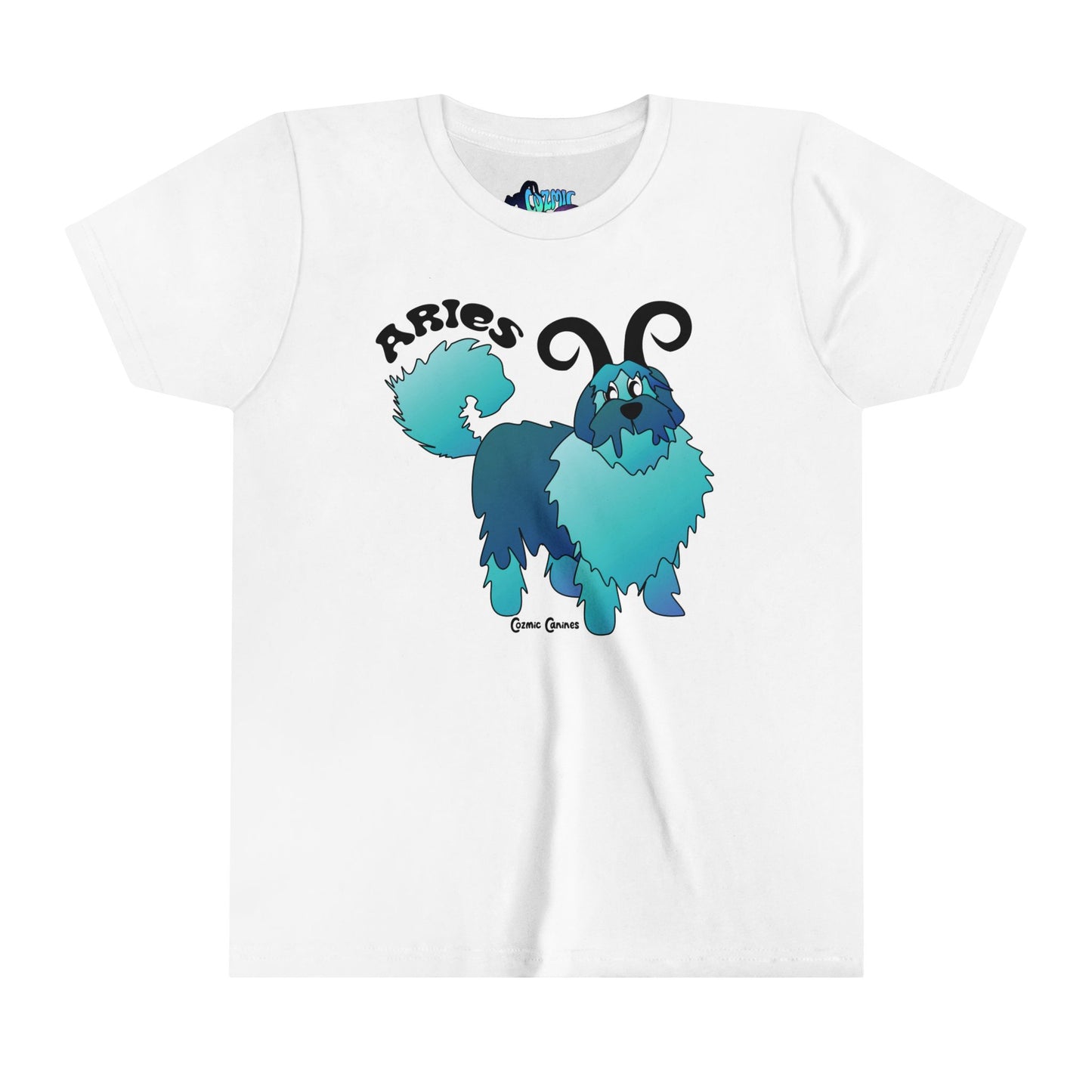 Aries Youth Short Sleeve Tee