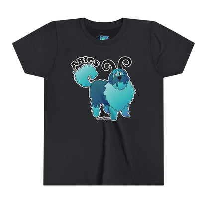 Aries Youth Short Sleeve Tee