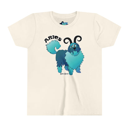 Aries Youth Short Sleeve Tee