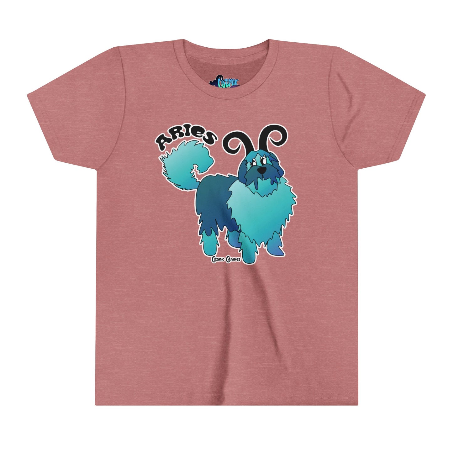 Aries Youth Short Sleeve Tee